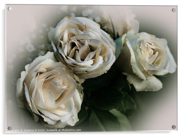 White Roses Acrylic by Graeme B