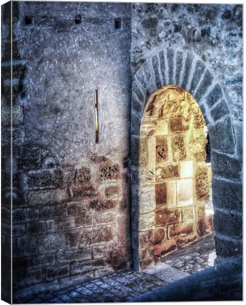 Castle Ruins Archway Canvas Print by Jacqui Farrell