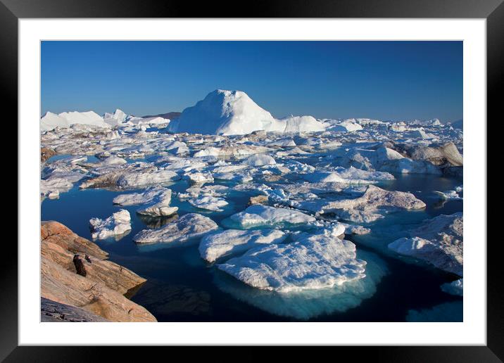 Icebergs in the  Kangia Icefjord Framed Mounted Print by Arterra 
