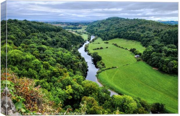 The River Wye at Symonds Yat Gloucestershire Canvas Print by Diana Mower