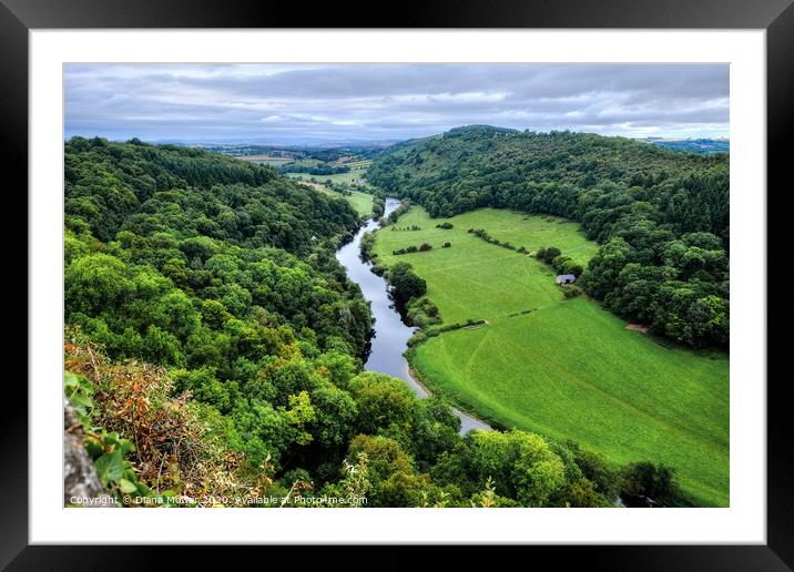 The River Wye at Symonds Yat Gloucestershire Framed Mounted Print by Diana Mower