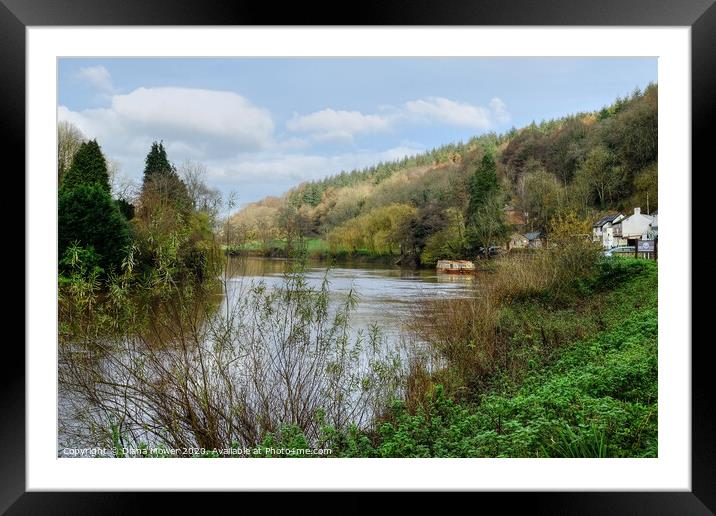The River Wye at Symonds Yat  Framed Mounted Print by Diana Mower