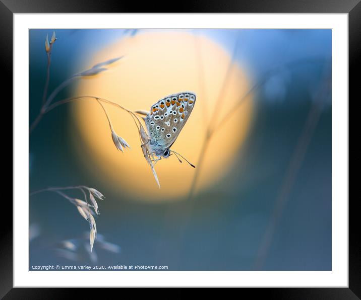Sunset blue Framed Mounted Print by Emma Varley