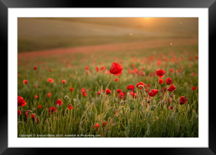 Poppies at sunset Framed Mounted Print by Emma Varley