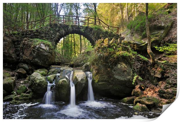 Cascade and Old Bridge in Mullerthal Print by Arterra 