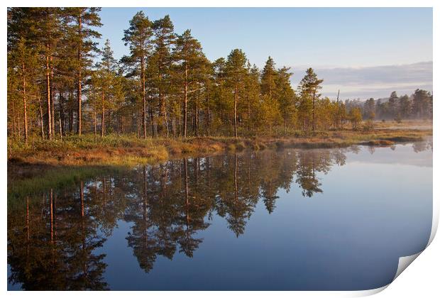 Forest Reflection in Lake Print by Arterra 