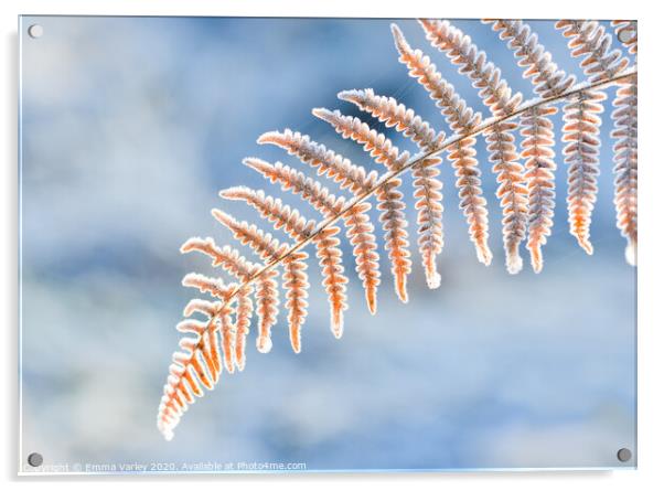 Frosty fern Acrylic by Emma Varley