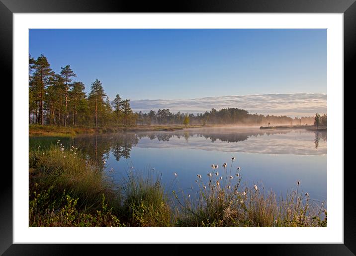 Moorland with Lake Framed Mounted Print by Arterra 