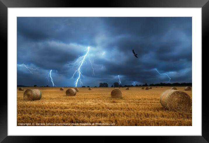 Lightning storm and field with bales of hay Framed Mounted Print by Daniela Simona Temneanu