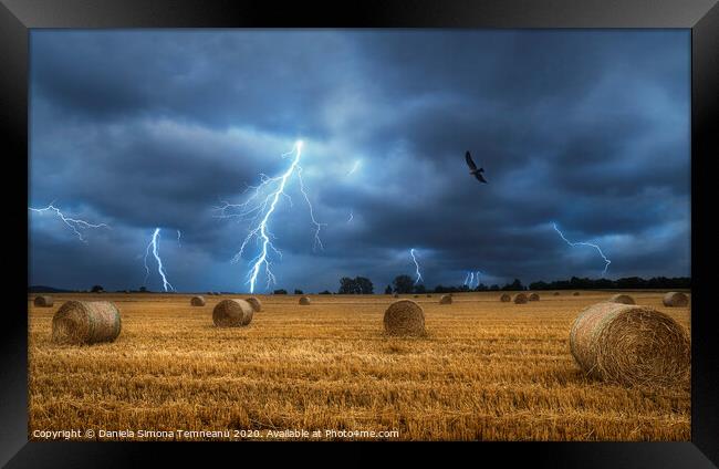 Lightning storm and field with bales of hay Framed Print by Daniela Simona Temneanu
