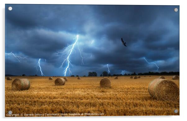 Lightning storm and field with bales of hay Acrylic by Daniela Simona Temneanu
