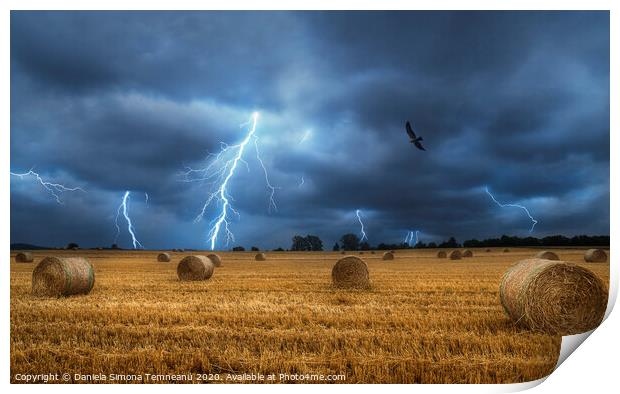 Lightning storm and field with bales of hay Print by Daniela Simona Temneanu