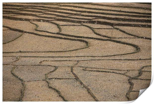 ASIA EAST TIMOR TIMOR LESTE LOIHUNO RICEFIELD Print by urs flueeler