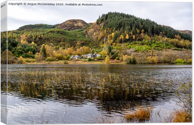 Loch Chon reeds Canvas Print by Angus McComiskey