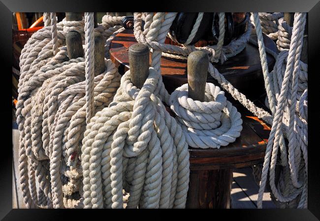 Coiled Ropes on Board of Frigate Framed Print by Arterra 