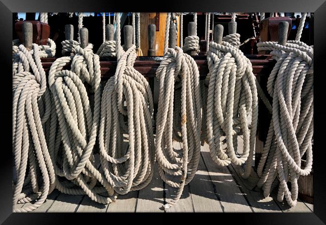 Coiled Ropes on Board of Frigate Grand Turk Framed Print by Arterra 