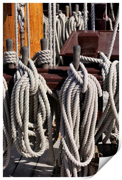 Ropes and Knots on Deck Print by Arterra 