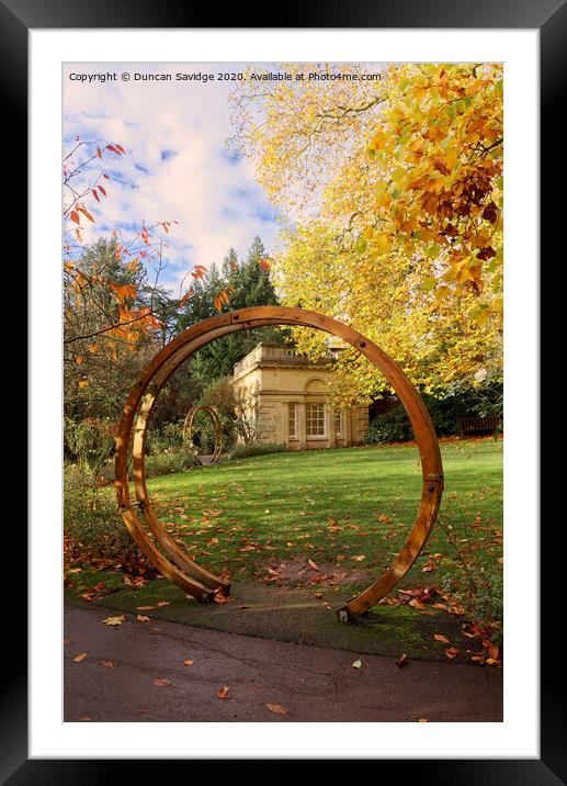 Autumn at Botanical Gardens at Royal Victoria Park  Framed Mounted Print by Duncan Savidge