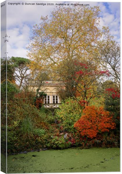 Autumn at Autumn at Botanical Gardens at Royal Victoria Park  at Royal Victoria Park  Canvas Print by Duncan Savidge