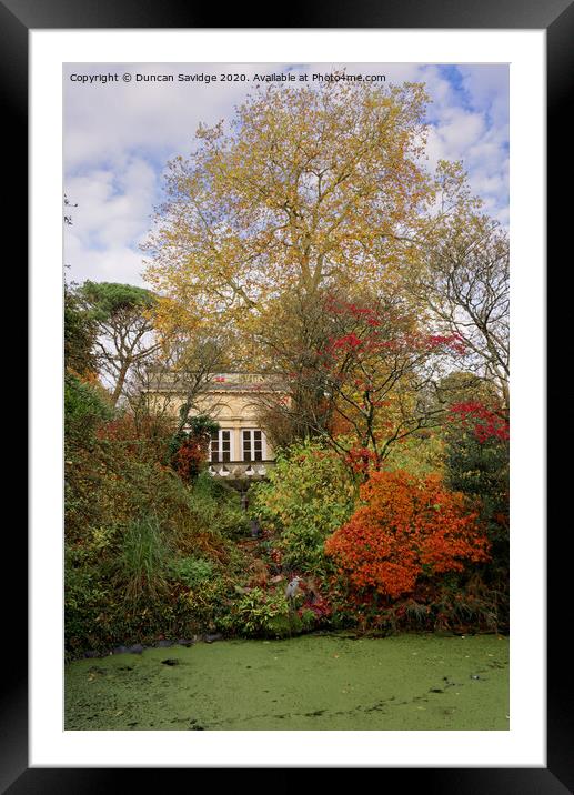 Autumn at Autumn at Botanical Gardens at Royal Victoria Park  at Royal Victoria Park  Framed Mounted Print by Duncan Savidge