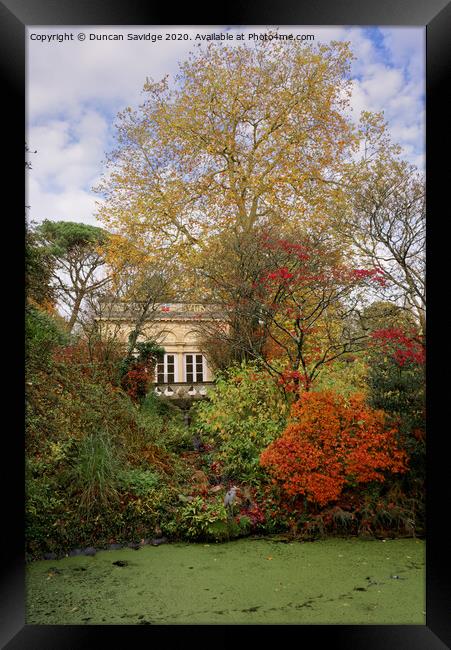 Autumn at Autumn at Botanical Gardens at Royal Victoria Park  at Royal Victoria Park  Framed Print by Duncan Savidge