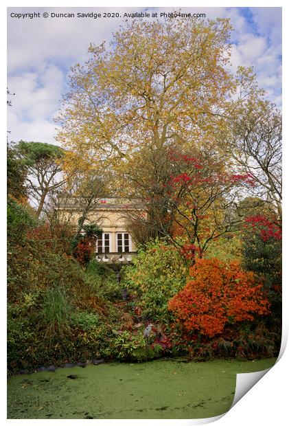 Autumn at Autumn at Botanical Gardens at Royal Victoria Park  at Royal Victoria Park  Print by Duncan Savidge