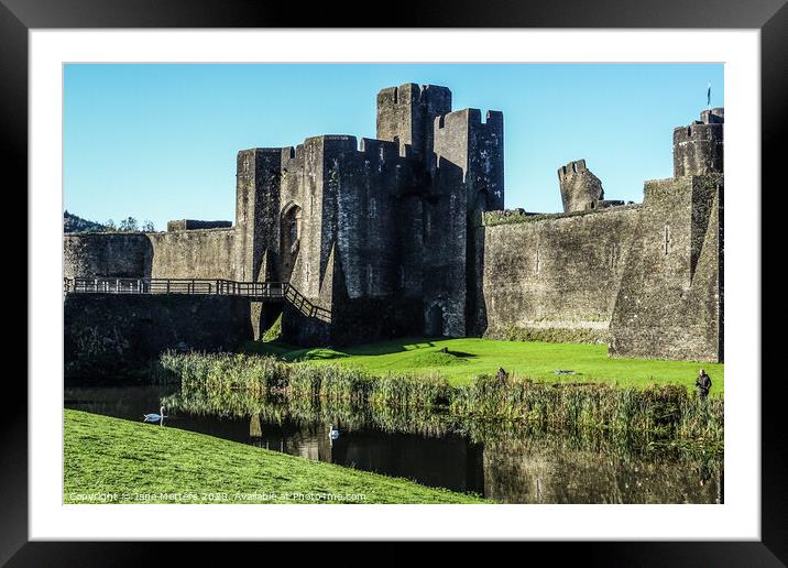The Castle in Caerphilly  Framed Mounted Print by Jane Metters