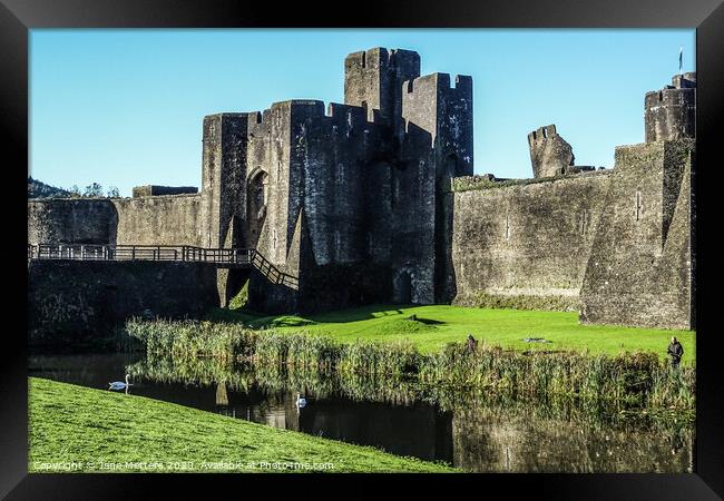 The Castle in Caerphilly  Framed Print by Jane Metters