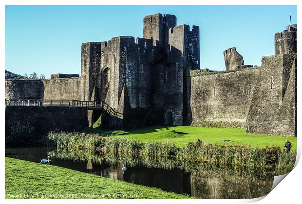The Castle in Caerphilly  Print by Jane Metters