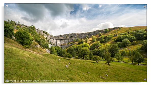 Malham Cove, in  the Yorkshire Dales.. Acrylic by Chris North
