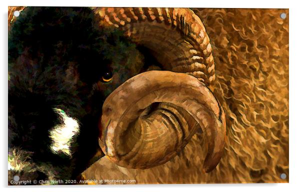 Dales breed Ram Acrylic by Chris North