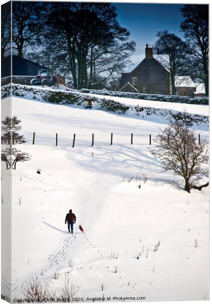One man and his dog, a winter walk. Canvas Print by Chris North