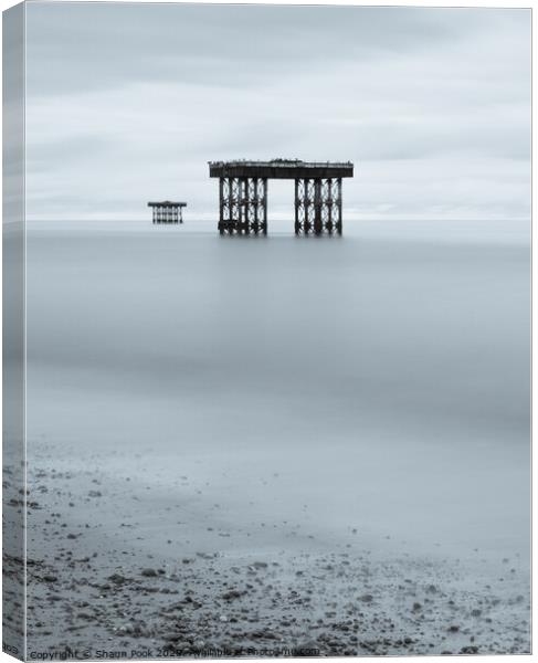 Sizewell  Canvas Print by Shaun Pook