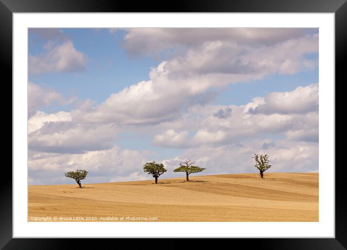 Essex Tree Line Framed Mounted Print by Bruce Little