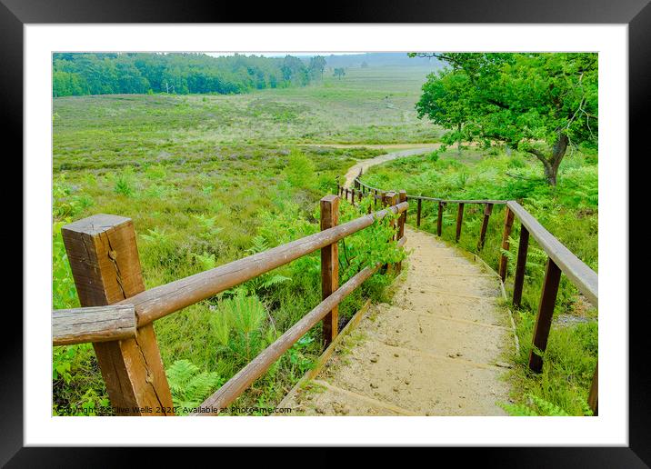 Path leading down at Wolverton, Norfolk Framed Mounted Print by Clive Wells