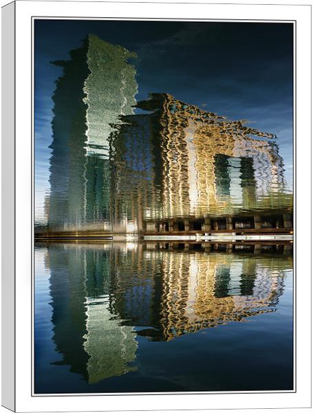 Just Reflections Canvas Print by Steve White