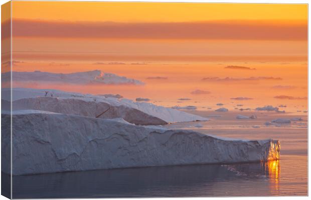 Icebergs at Sunset in the Arctic Canvas Print by Arterra 