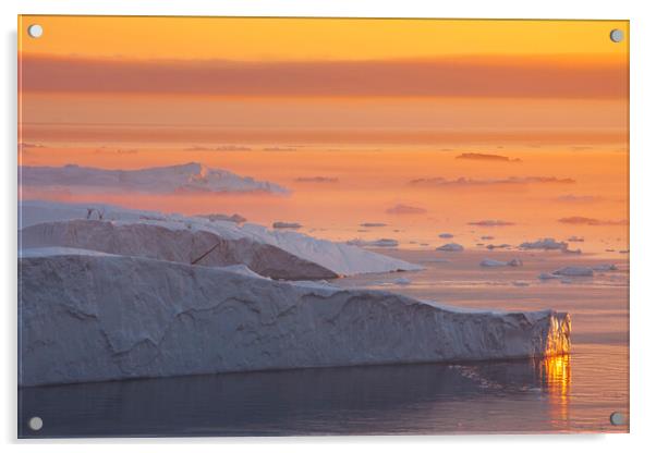 Icebergs at Sunset in the Arctic Acrylic by Arterra 