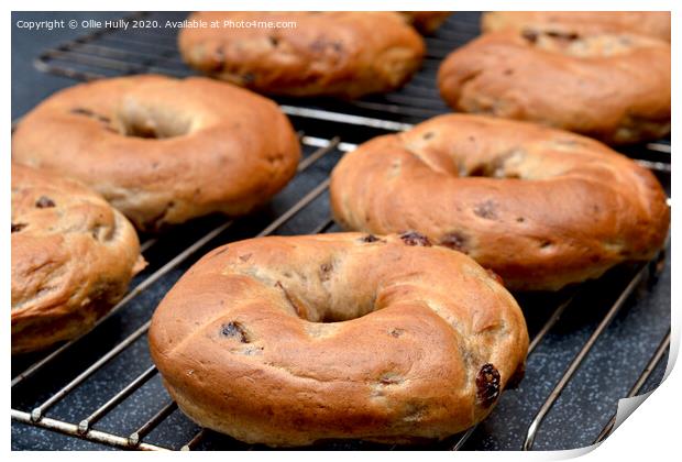 freshly cooked cinnamon and raisin bagels  Print by Ollie Hully