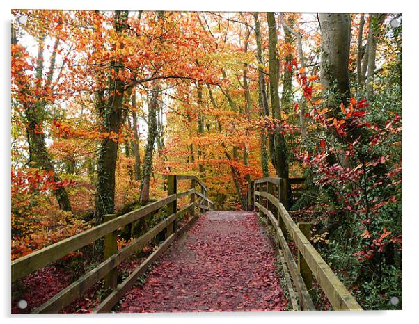 Autumn Path Acrylic by Christine Jeffrey