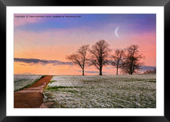 Early Winter Morning Magic  Framed Mounted Print by Taina Sohlman