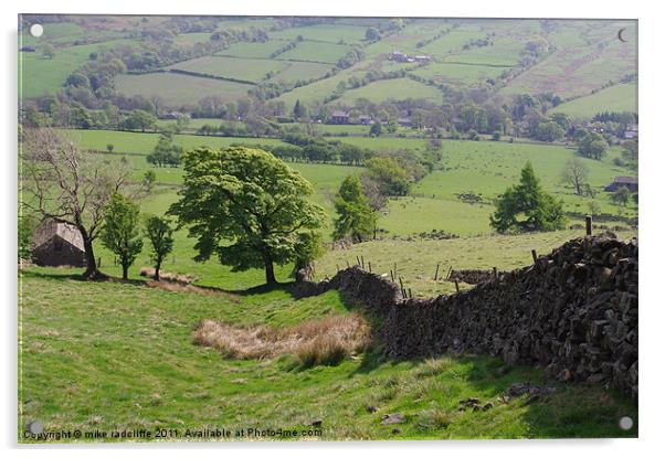 Edale valley Acrylic by mike radcliffe