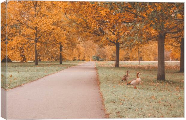 Autumn in the Hyde Park Canvas Print by Danilo Cattani