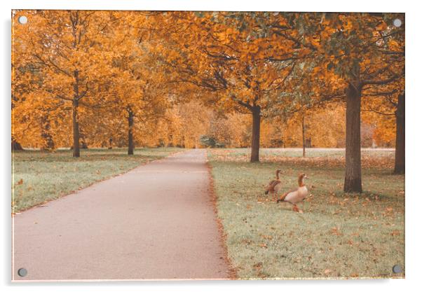 Autumn in the Hyde Park Acrylic by Danilo Cattani
