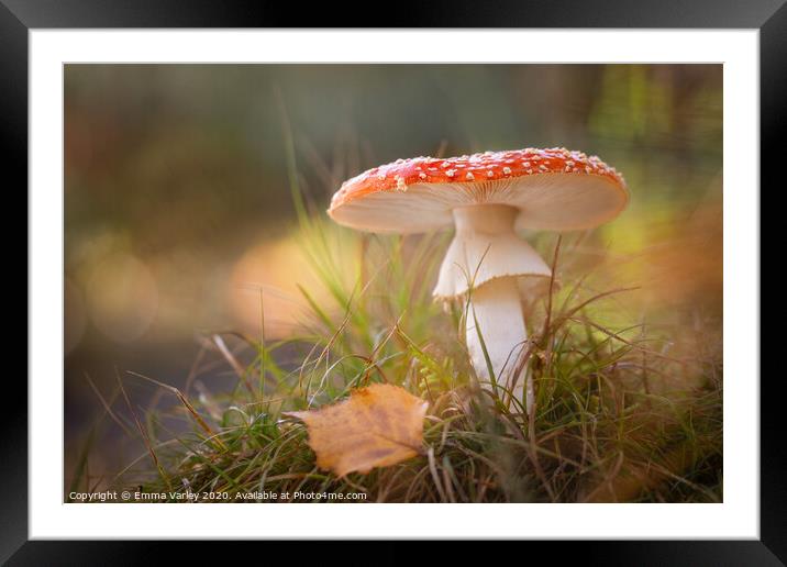 Fly agaric Framed Mounted Print by Emma Varley