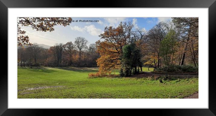 Autumn memory Framed Mounted Print by Gary Winter