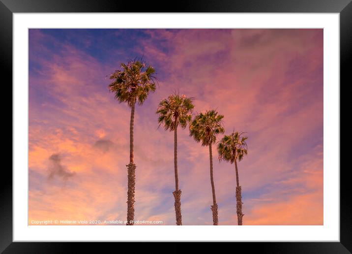Palm trees sunset  Framed Mounted Print by Melanie Viola
