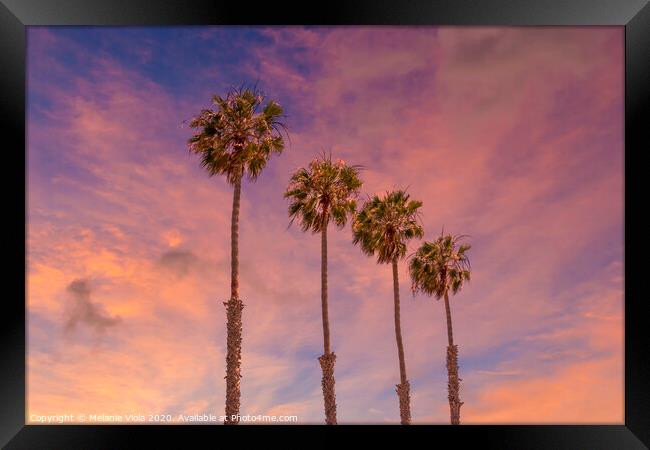 Palm trees sunset  Framed Print by Melanie Viola