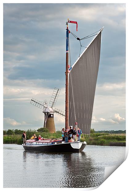 The Wherry Albion Print by Stephen Mole
