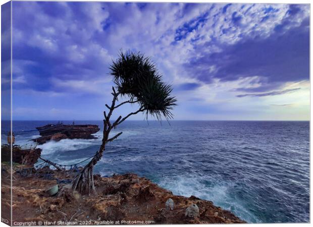 A palm tree and rock island in stormy sea Canvas Print by Hanif Setiawan